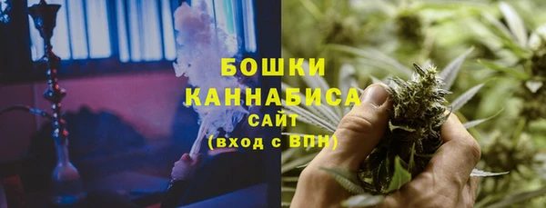 PSILOCYBIN Лагань