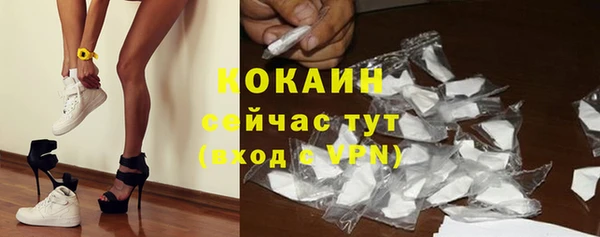 PSILOCYBIN Лагань