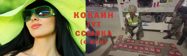 гидропоника Ладушкин