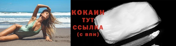 гидропоника Ладушкин
