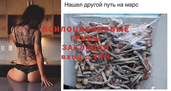 PSILOCYBIN Лагань