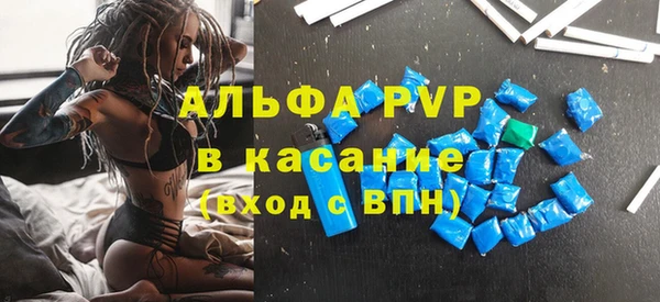 PSILOCYBIN Лагань