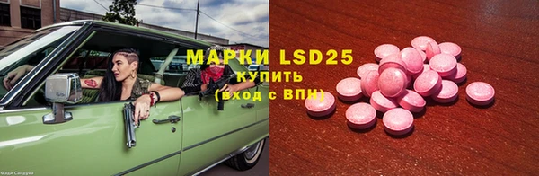 PSILOCYBIN Лагань