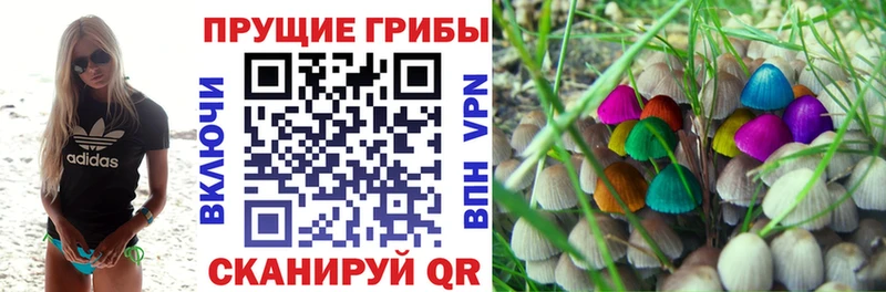 Псилоцибиновые грибы мухоморы  где купить наркоту  Лермонтов 